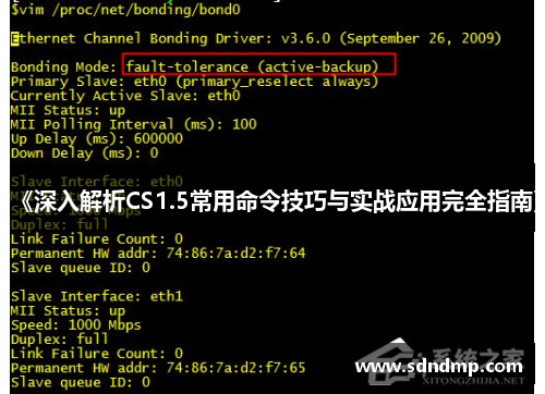 《深入解析CS1.5常用命令技巧与实战应用完全指南》